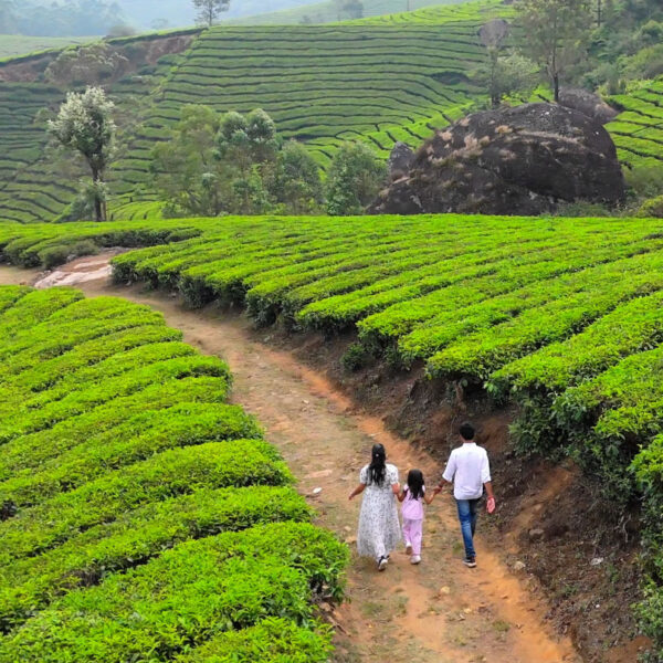 Vacation Photoshoot in Munnar | Capture Stunning Holiday Memories