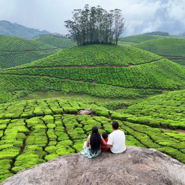 Top 7 Pre-Wedding Photoshoot Locations in Munnar You’ll Love